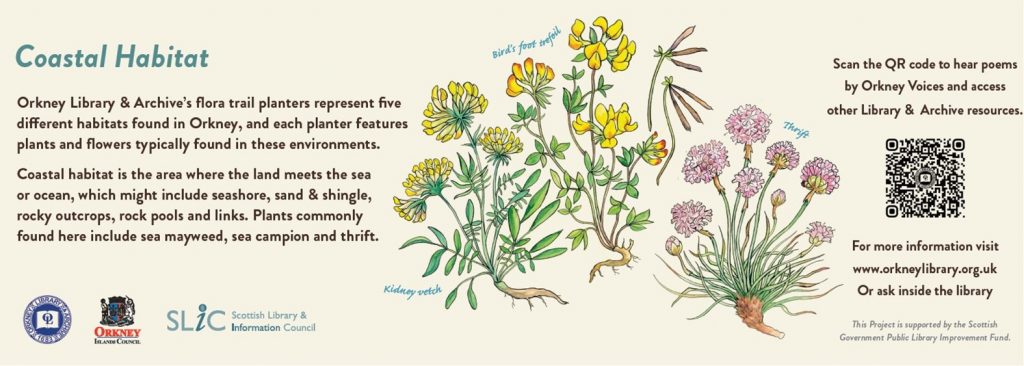 Text and images about Coastal habitats in Orkney