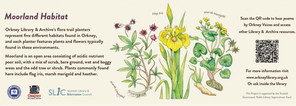 Text and images about Moorland habitats in Orkney