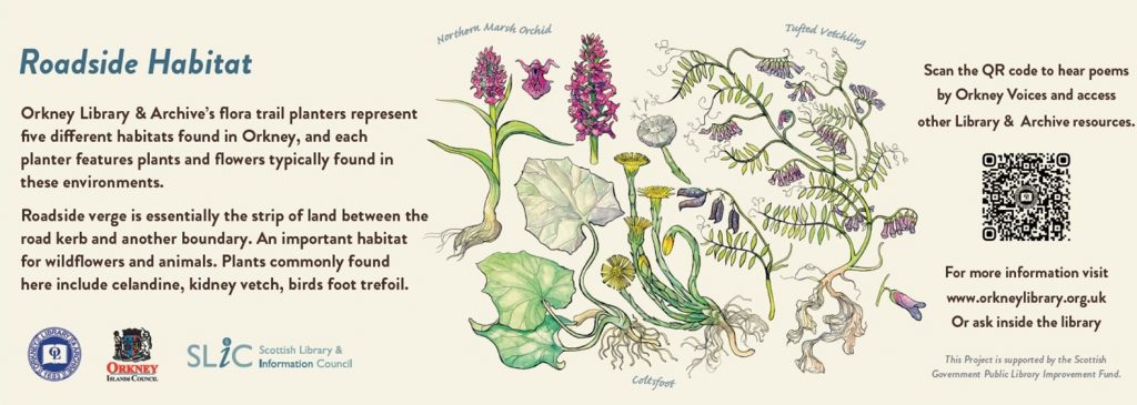 Text and images about Roadside habitats in Orkney