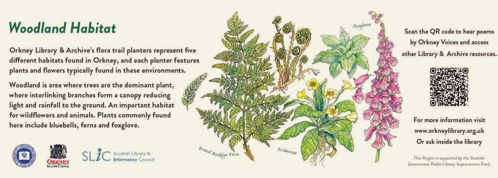 Text and images about Woodland habitats in Orkney