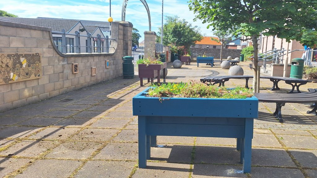 Raised planter beds full of flowers